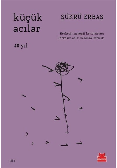 Küçük Acılar - 40. Yıl - Şükrü Erbaş - Kırmızı Kedi