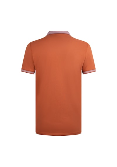Hatemoğlu Kiremit Regular Fit 100% Pamuklu Polo Yaka Tişört 1999780 Tarçın-01