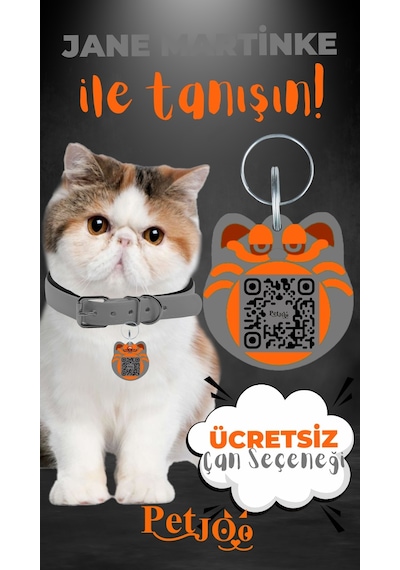 Petjoo 5.Jane Martinke Turuncu-Gri Qr'lı Kedi Künyesi