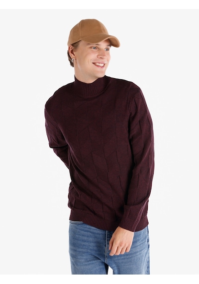 Colin's Colins Regular Fit Balıkçı Yaka Mor Erkek Kazak Cl1065745 Mor