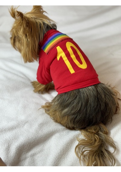 Kemique Uno Red Köpek Tişörtü