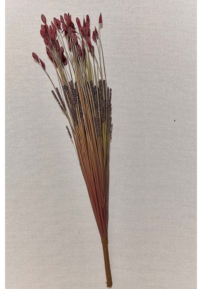 Pasabahce Grass 75 Cm Kırmızı - 1 Adet