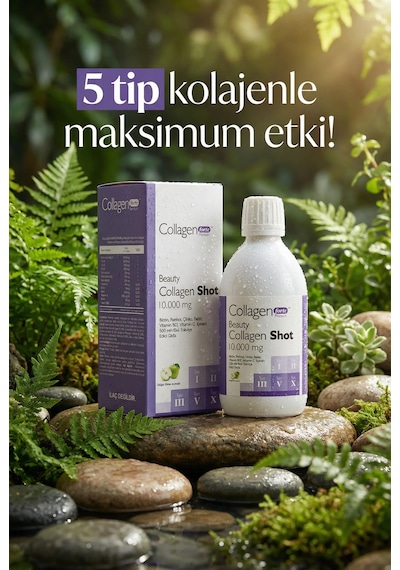 Collagen Fort I_II_III_V_X Collagen Shot 500 ML