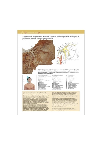 Mcminn & Abrahams İnsan Anatomisi Klinik Atlası