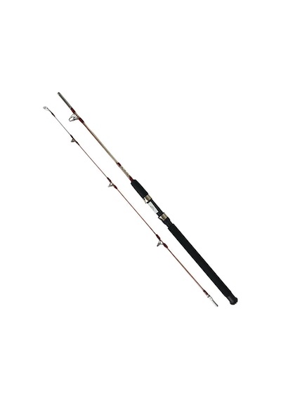 Pinorex Pegasus 2.40m 100-200gr 2 Parça Kamış