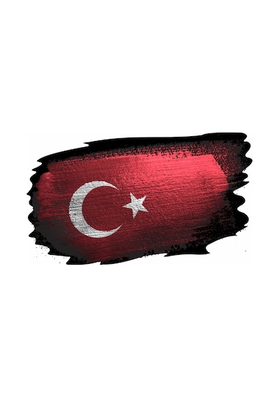 Türk Bayrağı Sticker 01969
