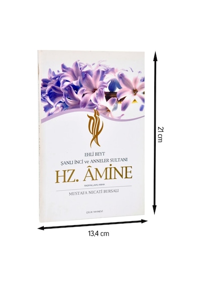 Hz. Amine-1962 N11.41700
