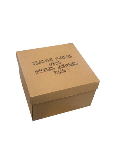 25X25X15 Cm E Ticaret Karton Kapaklı Kargo Kutusu