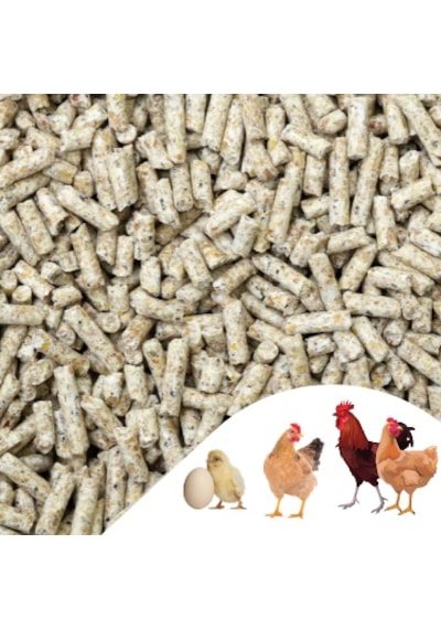 Narım 10 Kg Pelet Proteinli Özel Tavuk Besi Yumurta  Yemi