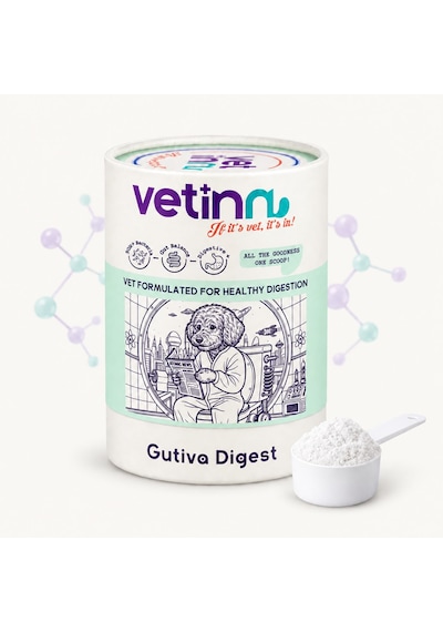 Gutiva Digest - Köpek Sindirim Sağlığı Takviyesi, Prebiyotik Ve Probiyotik, Diyare Ve Dışkı Formu Düzenleyici, Toz Form, 150 Gram