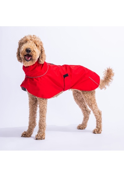 Pawstar Kırmızı Colombia Orta ve Büyük Irk Köpek Yağmurluğu