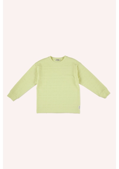 Erkek Çocuk Yeşil Sweatshirt Çok Renkli