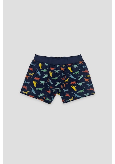 Defne Baby Erkek Çocuk Deseli Premium Pamuklu 2'li Boxer Seti Çok Renkli