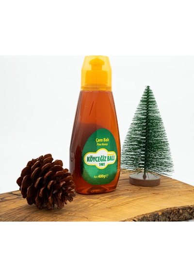 Köyceğiz Balı Çam Balı 400 G
