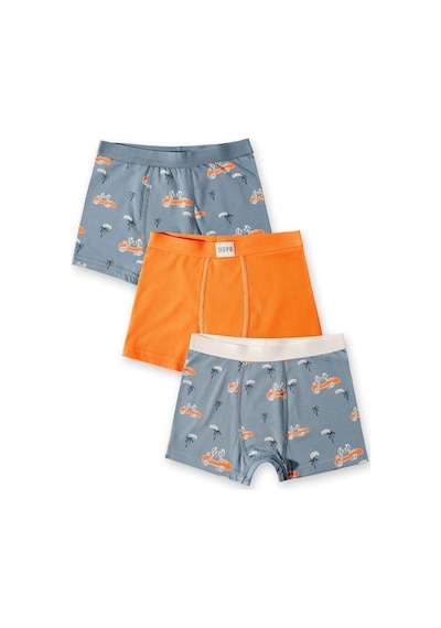 U.S. Polo Assn. Erkek Çocuk Yeşil İç Giyim 5274-49096 Pastel Yeşili-turuncu