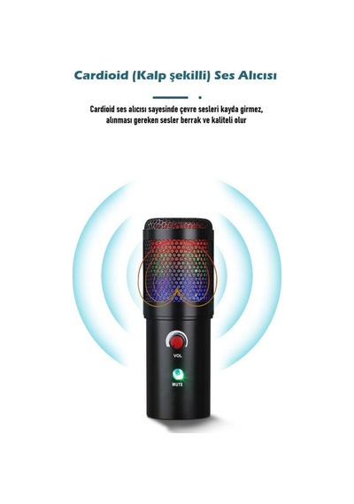 WellSound A6S-B Profesyonel Işıklı Mikrofon Seti