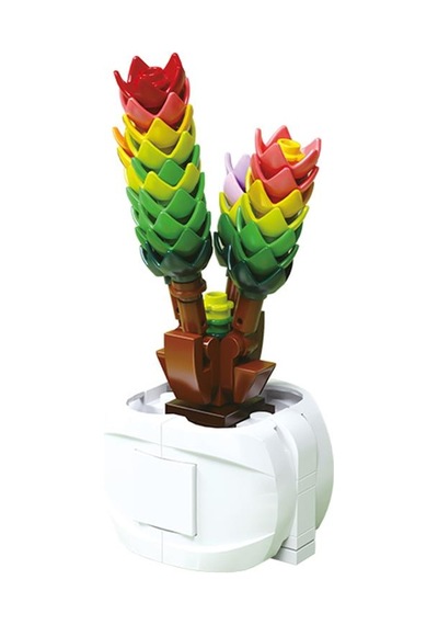 Gokidy Blok Sukulent Bitki Yapım Seti No 4 Oza61531