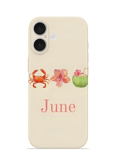 Apple iPhone Uyumlu 17 Vorian İnce Kamera Korumalı Mika Kılıf June Seaside June Seaside Mika