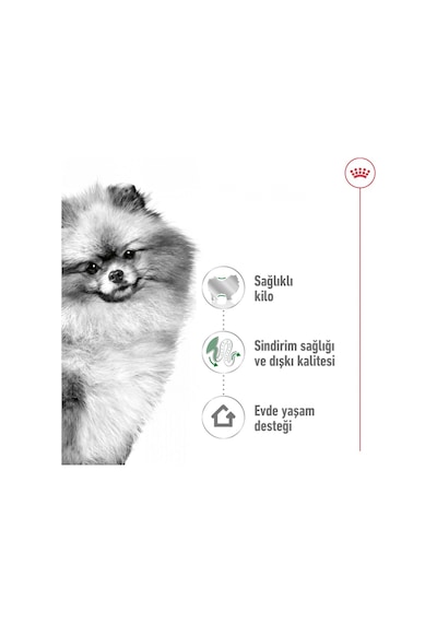 Royal Canin Mini Indoor Yetişkin Köpek Maması 1500 G