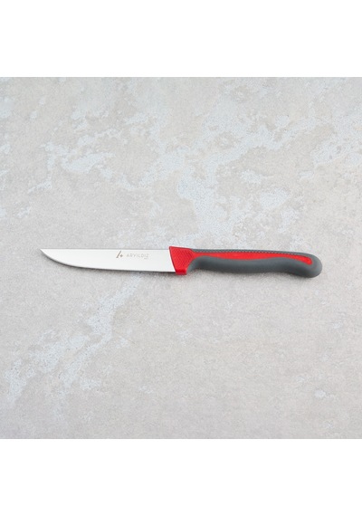 Aryıldız Plurex Sebze Bıçak Antrasit 11 Cm Renkli