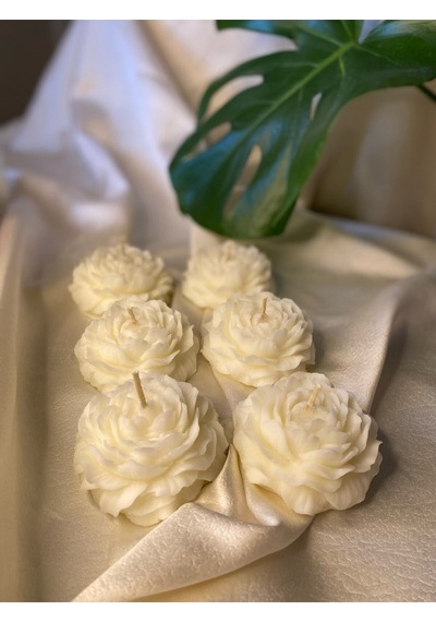 Bernami Biblo Pinterest 6'lı Gül Vegan Mum