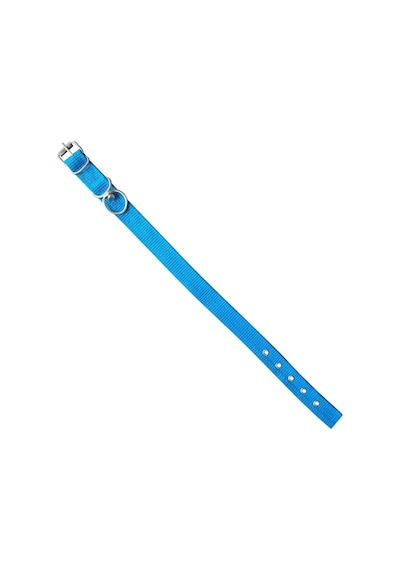 Savex Dokuma Köpek Boyun Tasması Mavi 4 70 Cm Fosforlu Sarı