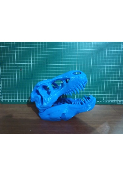 Trex İskelet Kuru Kafa Biblo Heykel