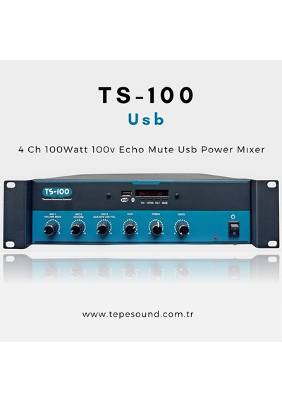 TS-100 TEPESOUND