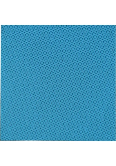 Thermal Grizzly Minus Termal Pad Extreme 100x100x3.0mm