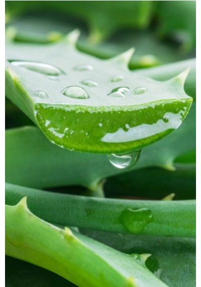 Aloe Vera Nemlendirici Ve Dinlendirici Jel