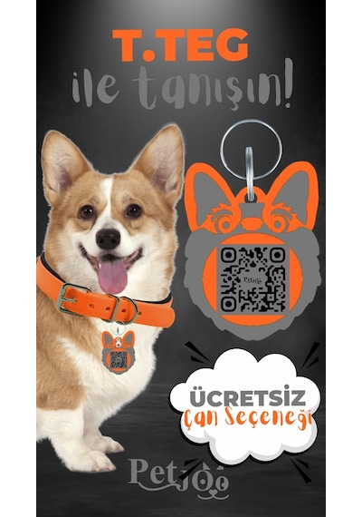 Petjoo 15.T.Teg Gri-Turuncu Qr'lı Köpek Künyesi
