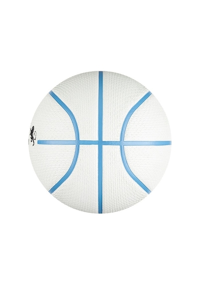 Nike N1004372-086 Lebron Playground 2.0 Kauçuk 7 No Basketbol Top