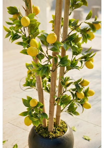 Cihan Çiçekçilik Yapay Limon Bambu Ağacı - Siyah Küre Saksılı 100 Cm
