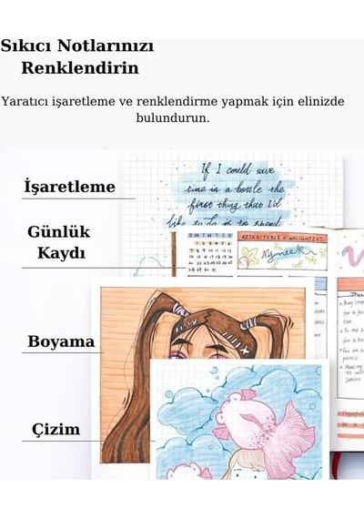 Tr Highlighters Fosforlu Kalemler 6'li Set - Geri Çekilebilir Tasarım Pastel Renkler Genel
