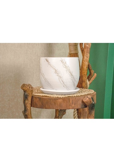 Bitki Tasarımı Beyaz Üzeri Gold Tabaklı Terracota Toprak Saksı Saksılık Salon Çiçeklik 19 Cm