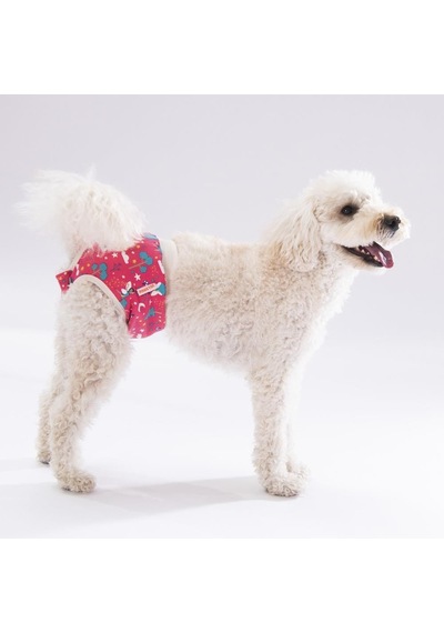 Pawstar Karışık Çiçekli Kedi Köpek Çamaşırı Regl Kilodu 3'lü