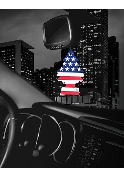 Oto Koku Little Trees Amerikan Bayrağı Koku Vanilla Pride 3 Adet