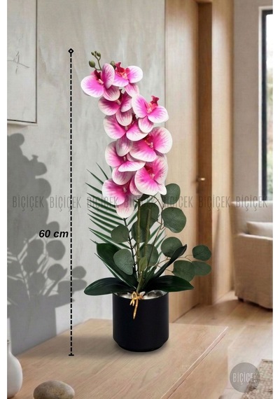 Yapay Phalaenopsi S Pembe Orki De 60 Cm Siyah