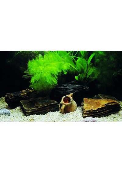 Kanki Pet Kp8550033 Akvaryum Arka Fon Yapıştırma 85 X 50 Cm