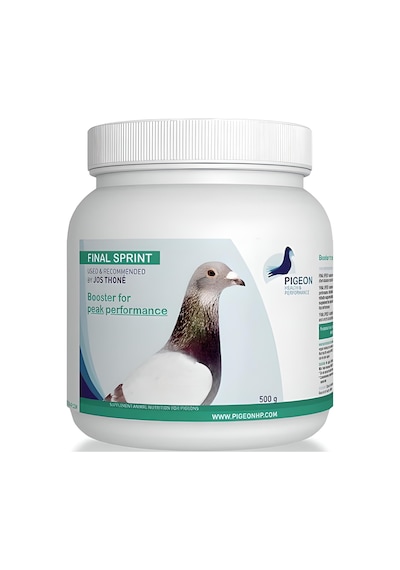 PIGEON Health Performance, FINAL FOND 500 Gr. (Posta Maraton Yarı