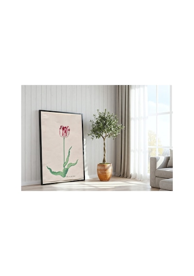 Botanik Holsteyn Lale Etüdü Iı Çerçevesiz Poster 21x30 Cm A4 Botanik Doğa Tarihi Duvar Dekoru