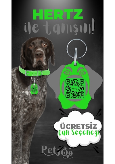 Petjoo 26.Hertz Gri-Yeşil Qr'lı Köpek Künyesi
