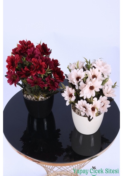 Yapay Çiçek Sitesi Plastik Saksıda Yapay Katmerli Papatya Tanzimi 2'li Set 25 Cm Bordo - Krem