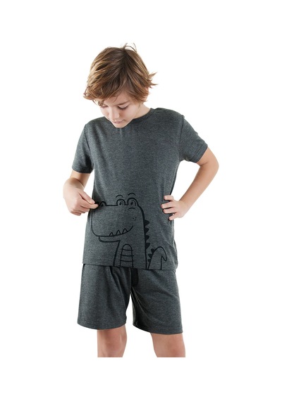 Denokids Dinozor Erkek Çocuk Gri Alt Üst Pijama Takım Renkli Çok Renkli