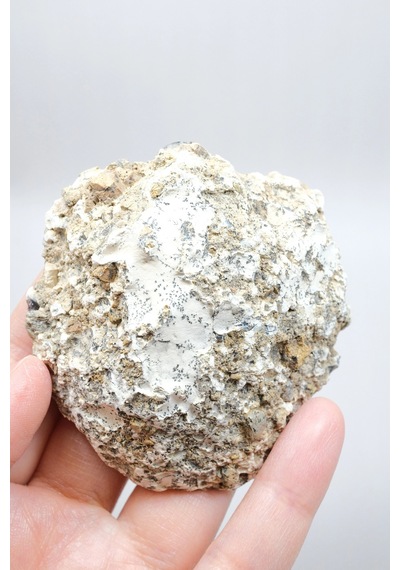 Krem Ve Beyaz Renkli Merlinit - Krem Dendritik Opal İle Jet-siyah Ağaç İçerikler