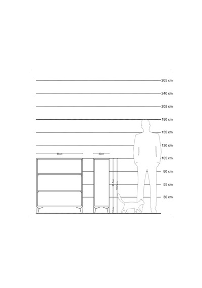 Arges Şifonyer 2 Raflı 88x30x106 Çam-antrasit Atlas Çam