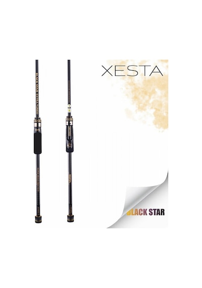 Black Star Extra Tuned S82mhx-s Kamış 2.50m 1-28g 2p 1