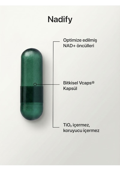 Longify Nadify Nr, Nmn, Pqq, Alfa Lipoik Asit Ve Tmg Takviye Edici Gıda 30 Kapsül