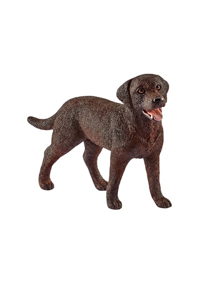 Schleich Veteriner Çiftlikte 42503
