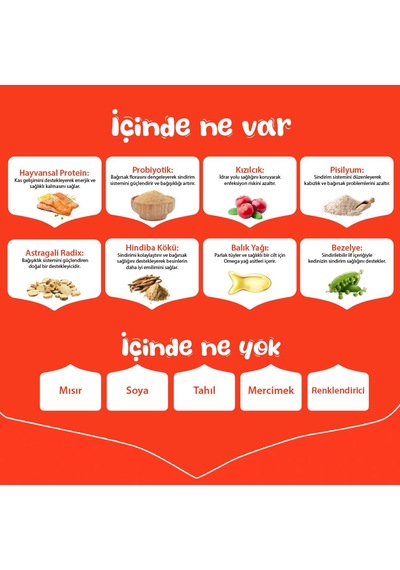 Wanpy Somon Balıklı Tahılsız Yetişkin Kedi Maması 8 Kg